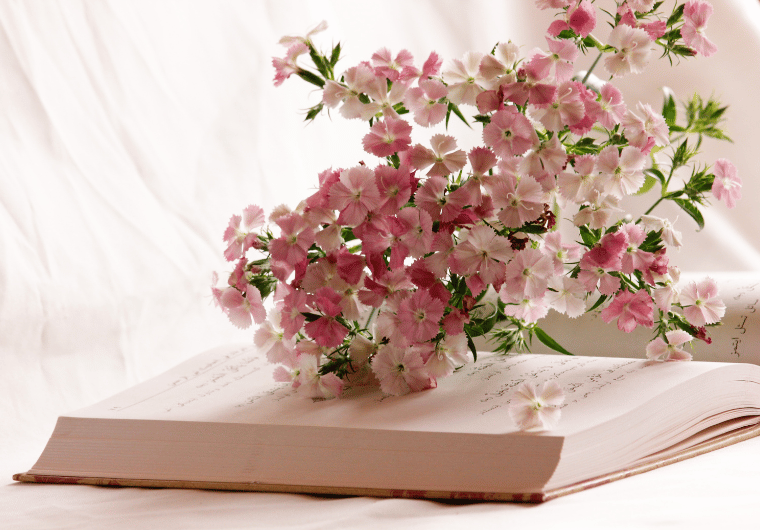 Pink and white flowers resting on the pages of an open book, creating a calm, serene, and delicate scene.
